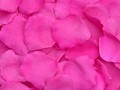 Silk Rose Petals - Hot Pink