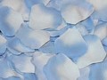 Silk Rose Petals - Light Blue w/ blue