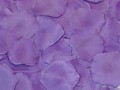 Silk Rose Petals - Purple