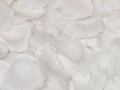 Silk Rose Petals - White